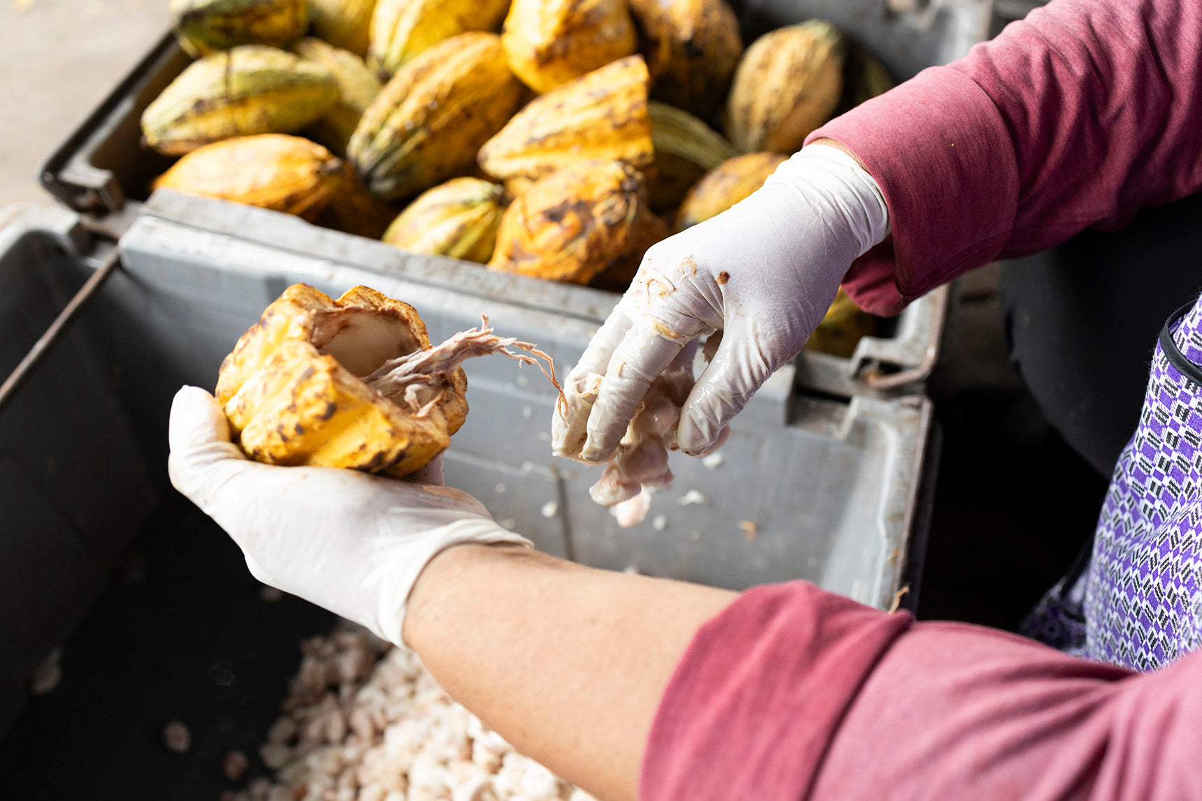 Food Certifications: Trust, Quality, and Responsibility